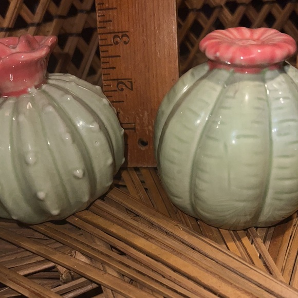 Set Of Cute Little Cactus Succulent Plants Garden Home Office Decor Paperweight - Picture 5 of 7